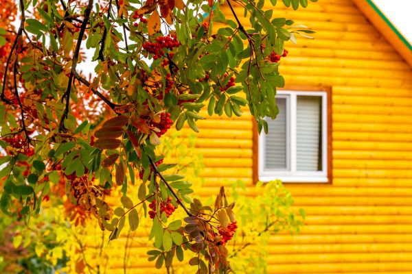 Garden Window Replacement in Palm Bay